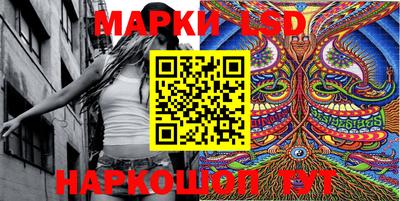 стафф Новозыбков