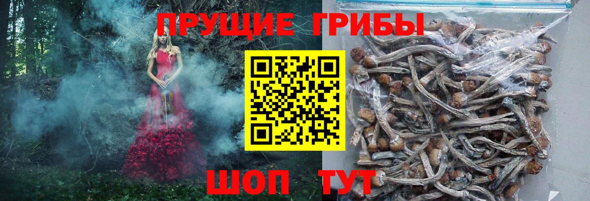 Валуйки  Галлюциногенные грибы ЛСД  Вход с VPN 